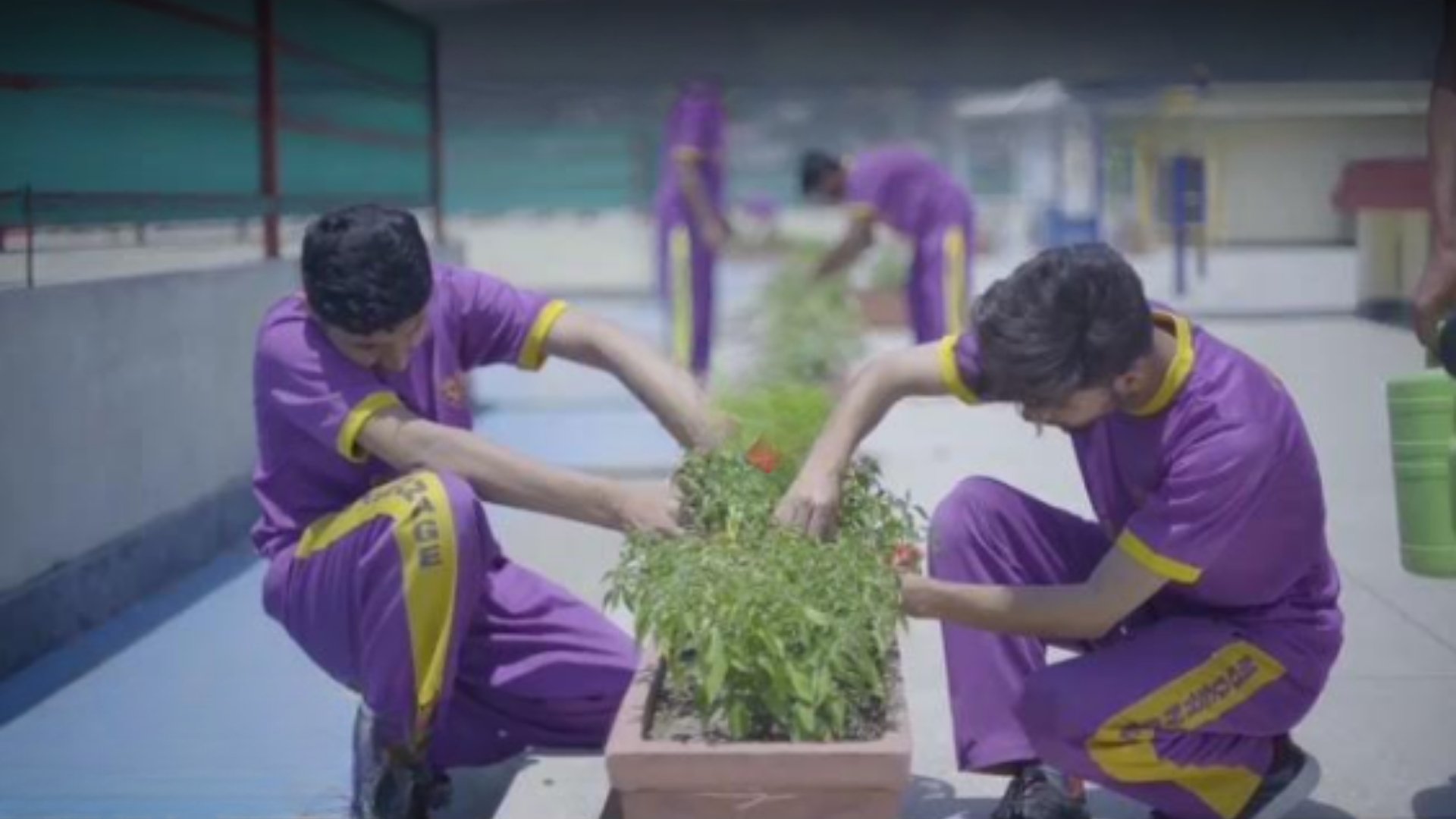 Students gardening in school outdoor activity